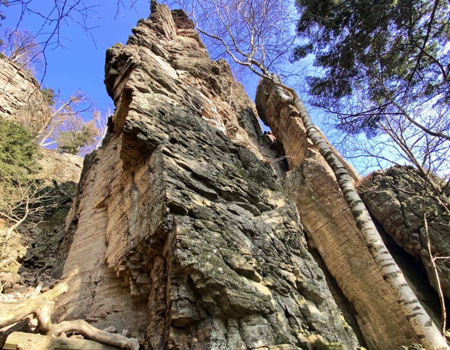 Ansicht von Südwest